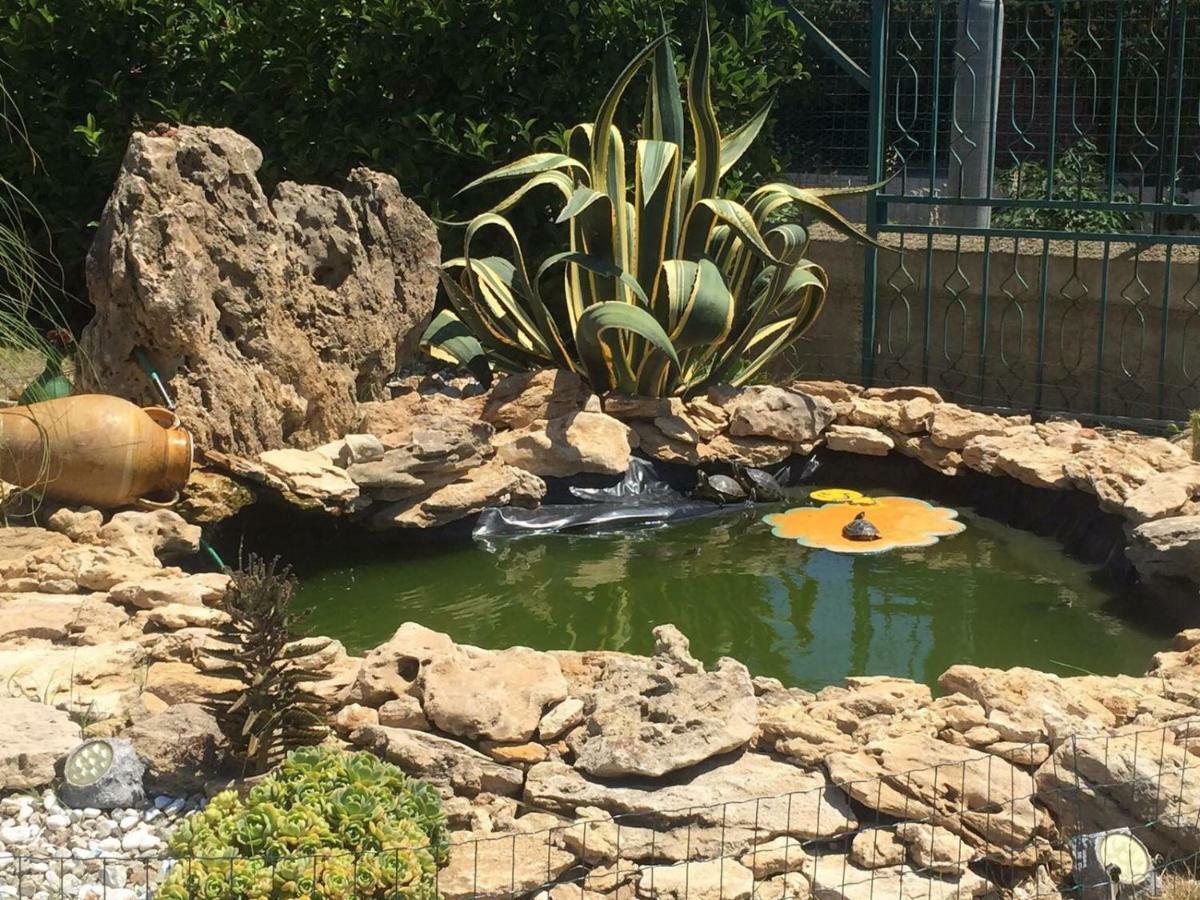 Bed And Breakfast La Medusa イーゾラ・ディ・カーポ・リッツート エクステリア 写真